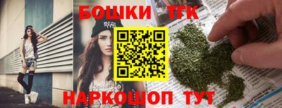 индика Волжский