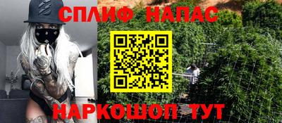 индика Волжский