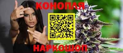 индика Волжский