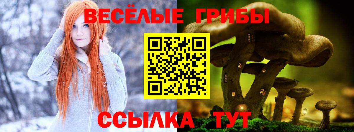 Галлюциногенные грибы Magic Shrooms  Псилоцибиновые грибы Psilocybine cubensis  Вход с VPN  Братск 